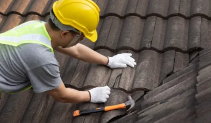 Roof Repairs 1